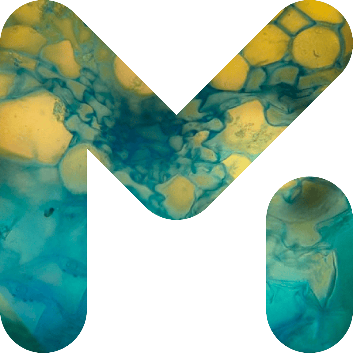 GenesisM
